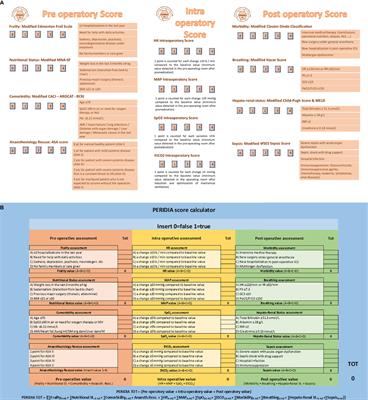 A New Score to Assess the Perioperative Period of the Cancer Patient Undergoing Non-Palliative Elective Surgery: A Retrospective Evaluation of a Case Report by PERIDIA Score